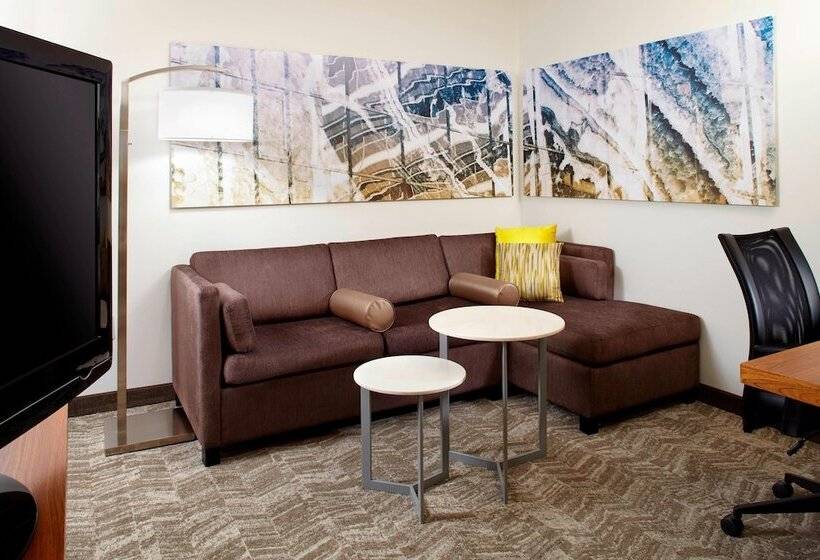 Studio Standard, Springhill Suites Houston Intercontinental Airport