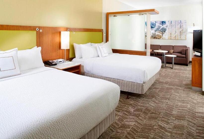 标准工作室, Springhill Suites Houston Intercontinental Airport