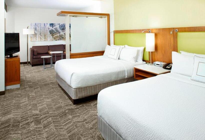 标准工作室, Springhill Suites Houston Intercontinental Airport