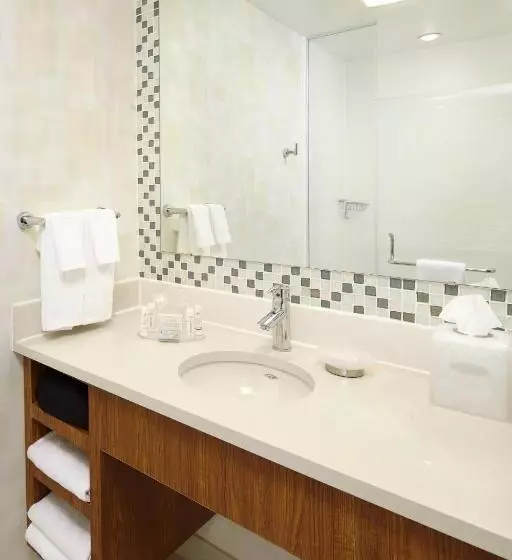 デラックススタジオ, Springhill Suites Houston Intercontinental Airport