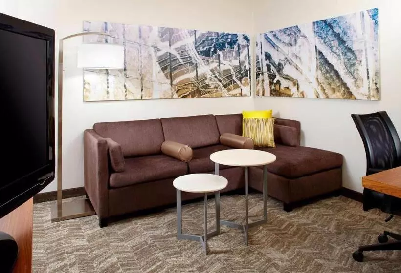 デラックススタジオ, Springhill Suites Houston Intercontinental Airport