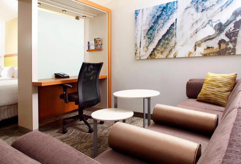 带大床的标准工作室, Springhill Suites Houston Intercontinental Airport