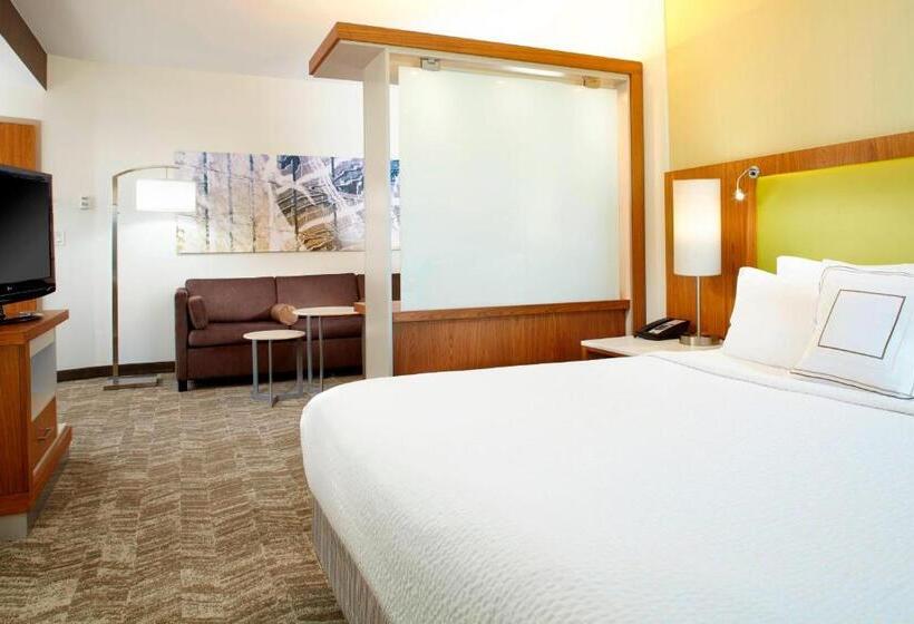 带大床的标准工作室, Springhill Suites Houston Intercontinental Airport