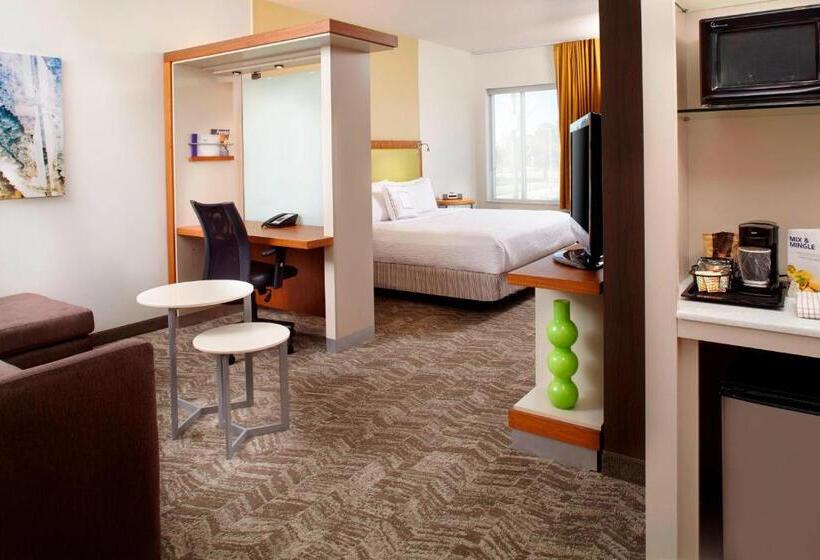 带大床的标准工作室, Springhill Suites Houston Intercontinental Airport