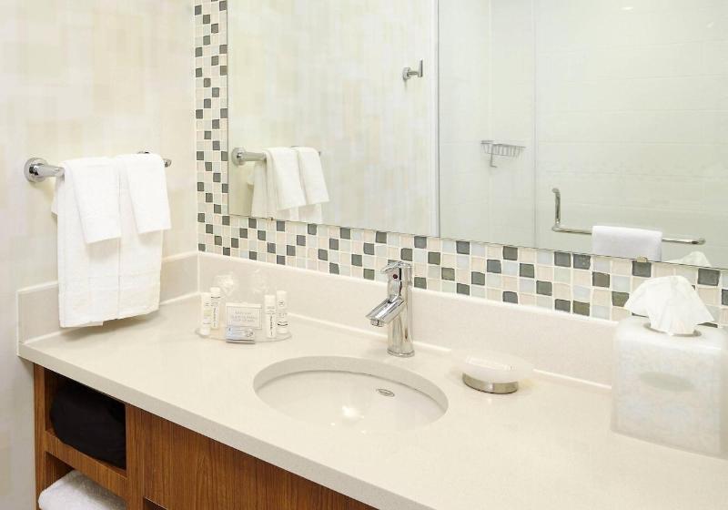 Standard Studio King Bed, Springhill Suites Houston Intercontinental Airport