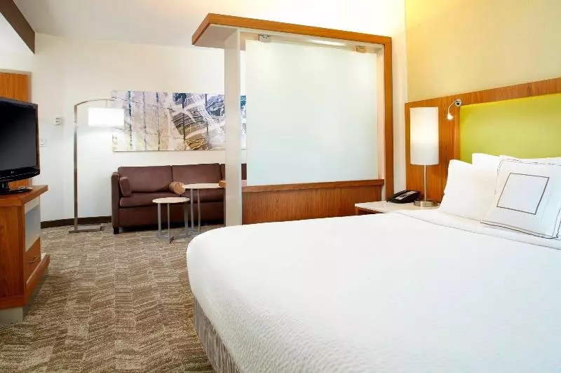 キングサイドベッドのスタンダードワンルーム, Springhill Suites Houston Intercontinental Airport