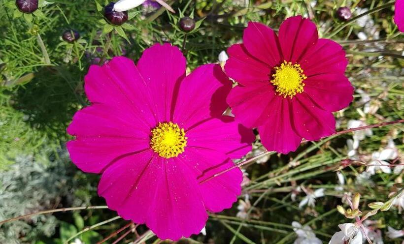 Номер Стандарт, Les Box Chambre D Hôtes