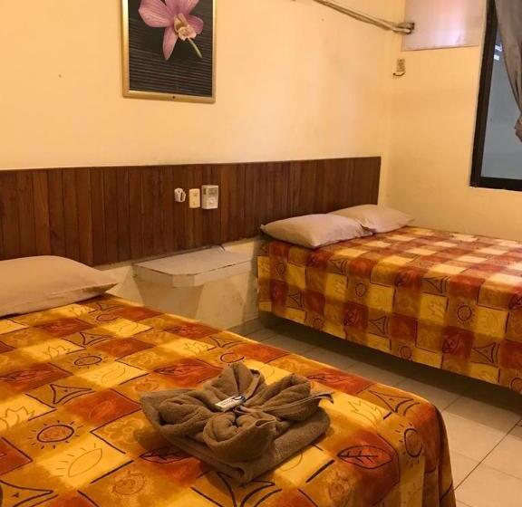 חדר אקונומי, Sociedad Y Maristas