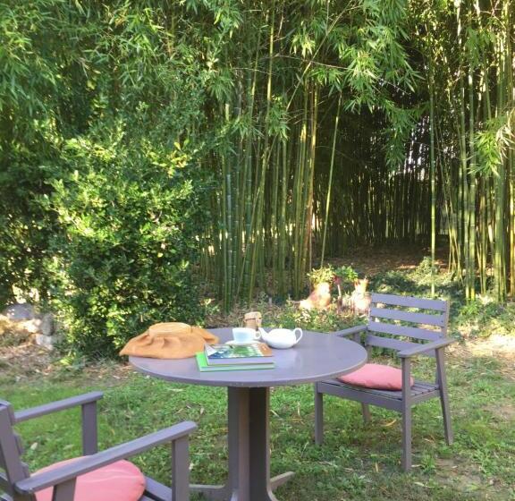 标准间, Damechouette