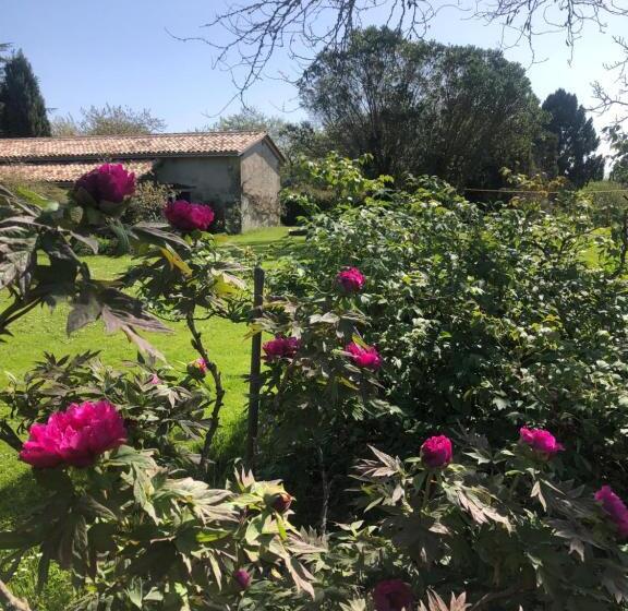 标准间, Damechouette