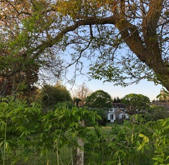 标准房带园景, Damechouette