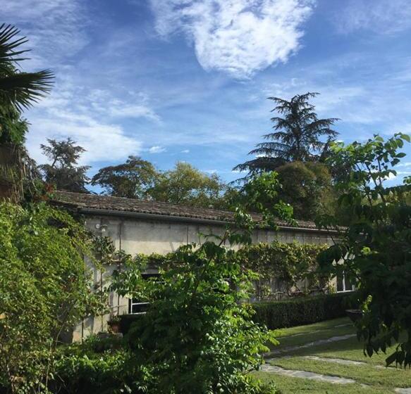 标准房带园景, Damechouette