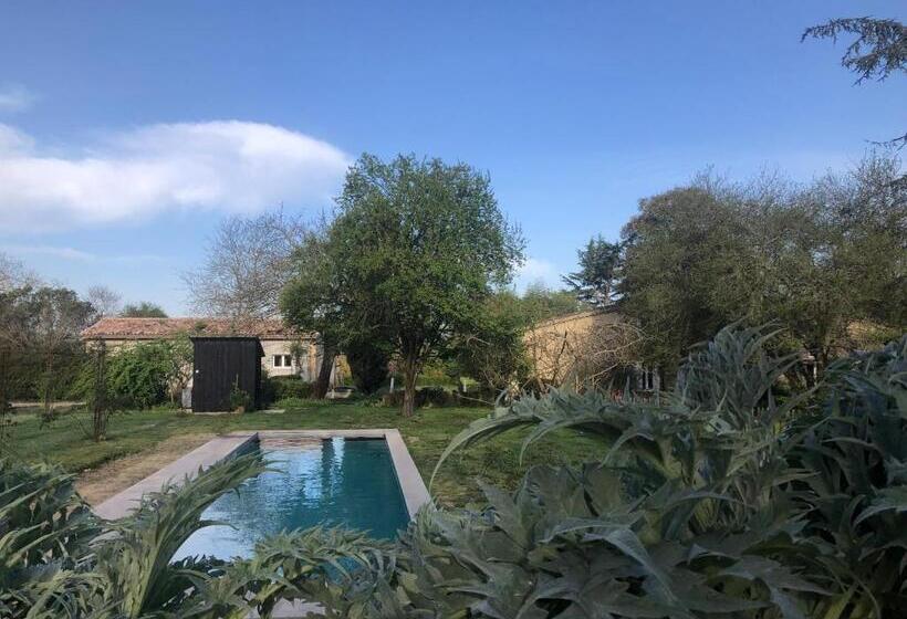 标准间, Damechouette