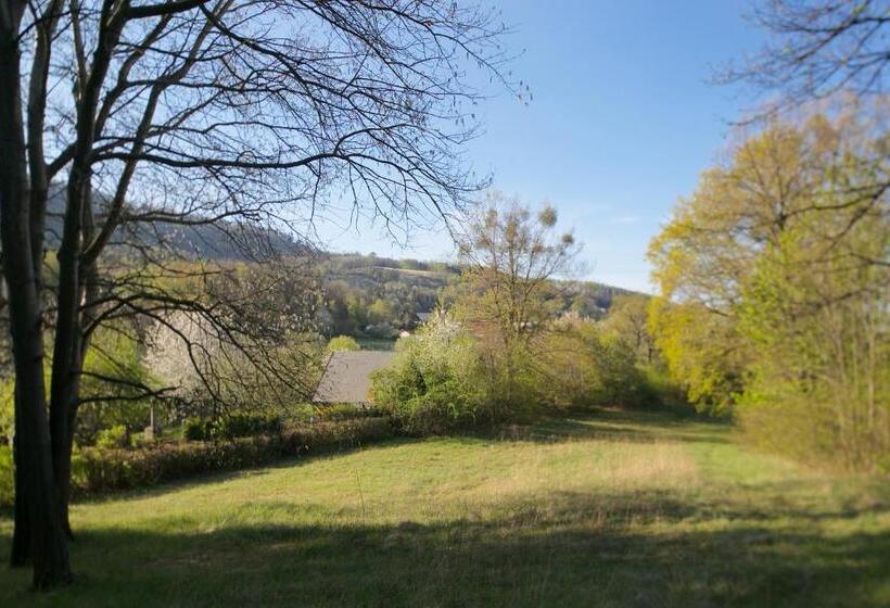 Családi Szoba, Sola Gratia