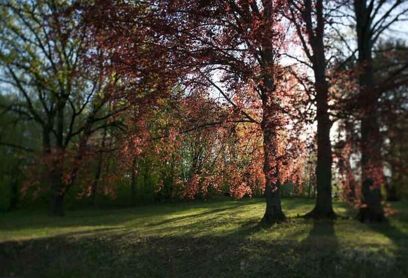 Négyágyas Standard Szoba Közös Fürdővel, Sola Gratia