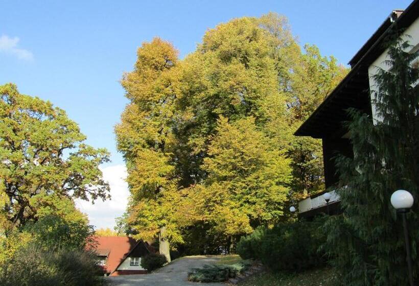 1 Szobás Villa, Sola Gratia