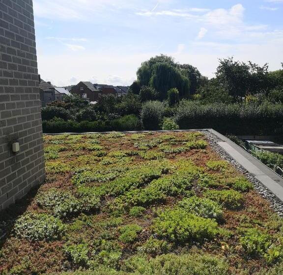 Номер Deluxe, B&b Atuatuca