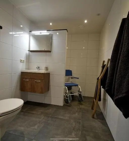 身障者適用スタンダードルーム, B&b De Konik Bourtange