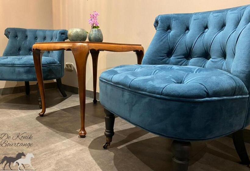 اتاق استاندارد برای معلولان, B&b De Konik Bourtange