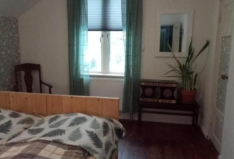 חדר סטנדרט חדר אמבטיה משותף, Hollands Län