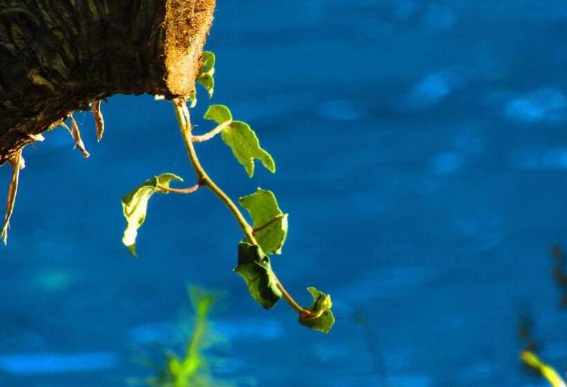 סוויטה נוף לגינה, La Bastide De Canaules