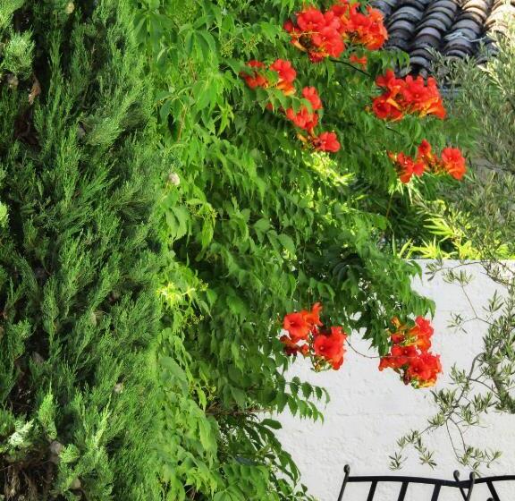 סוויטה נוף לגינה, La Bastide De Canaules