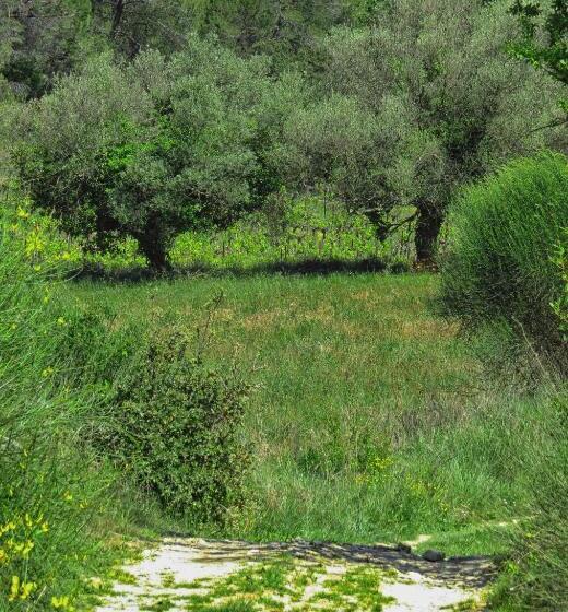 סוויטה נוף לגינה, La Bastide De Canaules