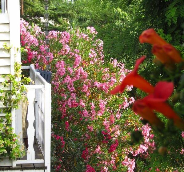 חדר סטנדרט נוף לגינה, La Bastide De Canaules