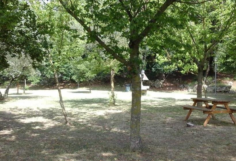 إستوديو قياسى سرير كينج, Happy Days B&b