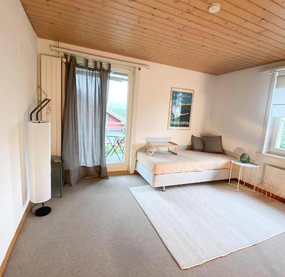 شقة غرفة واحدة, Neb Thun Lodge`s Appartement 1 Hilterfingen Ringstrasse 6