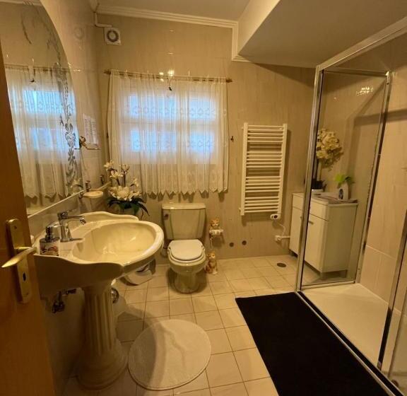 Номер Стандарт, Vivenda Soares