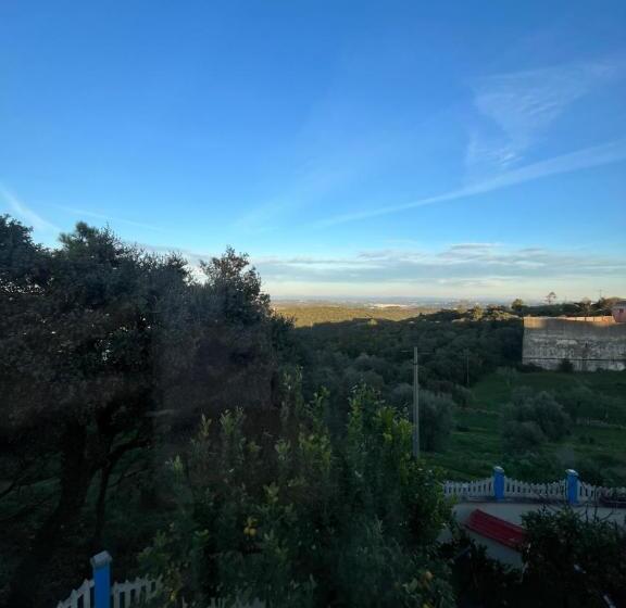 Номер Стандарт, Vivenda Soares