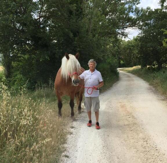 豪华房间, B&b Et Gite D Ayran