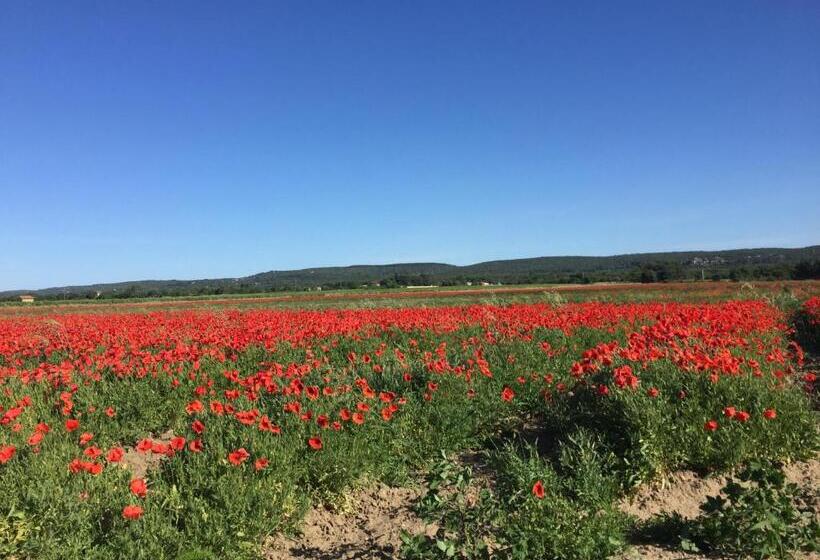 اتاق لوکس, B&b Et Gite D Ayran