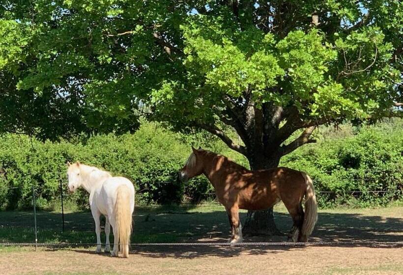 اتاق استاندارد, B&b Et Gite D Ayran