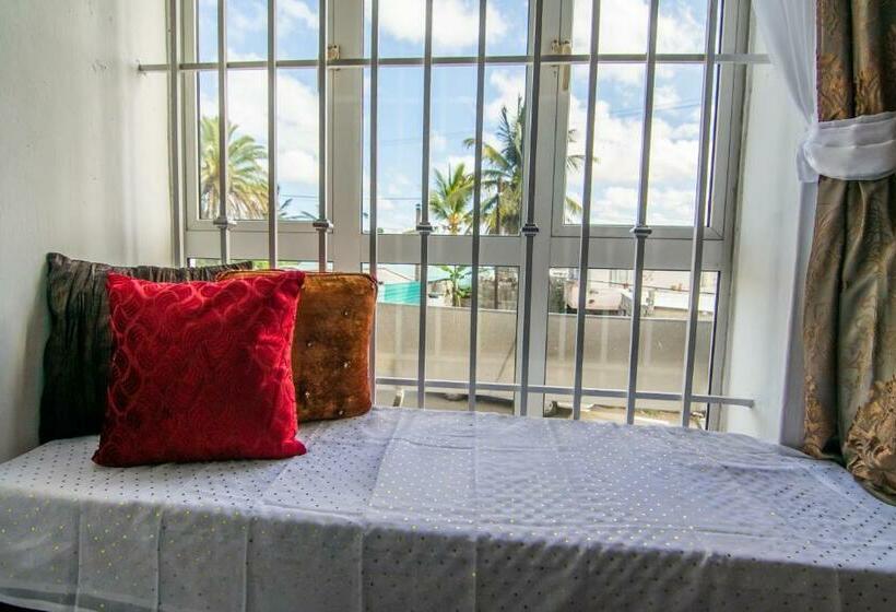 Superior Stüdyo, La Koquillishe