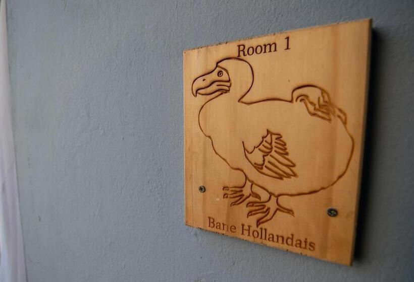 Engelliler için Standart Oda, La Koquillishe