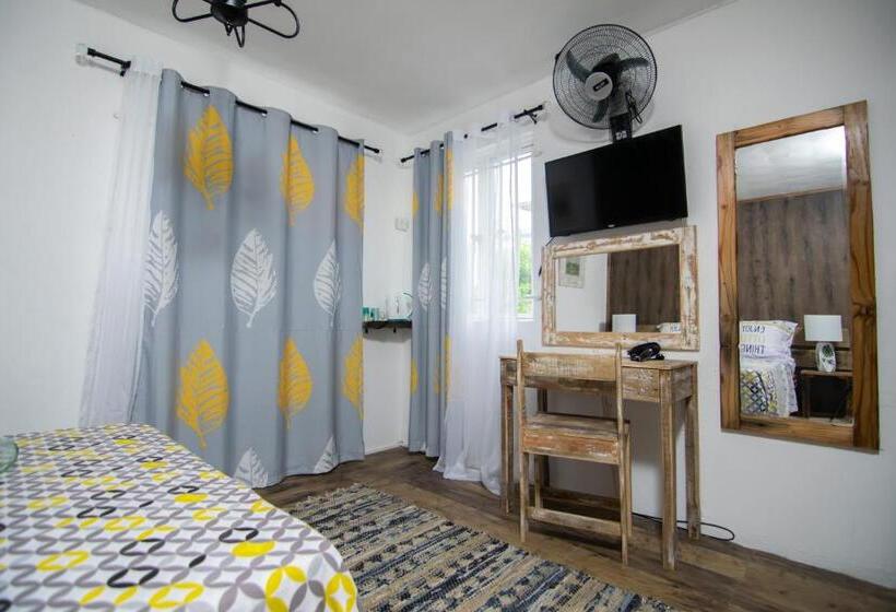 Delüks Oda, La Koquillishe