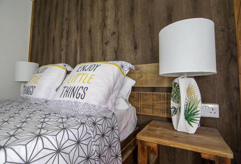 Delüks Oda, La Koquillishe