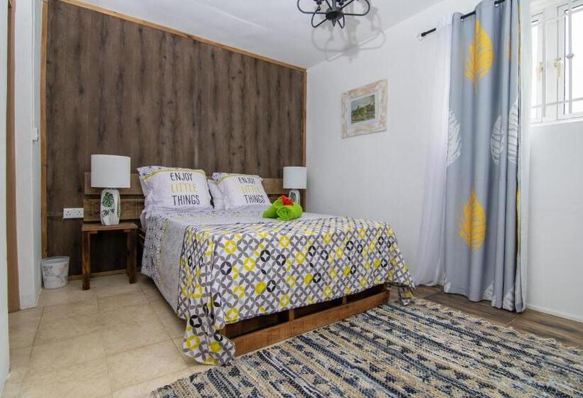 Delüks Oda, La Koquillishe