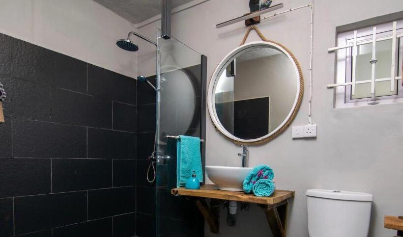 Standart Oda, La Koquillishe