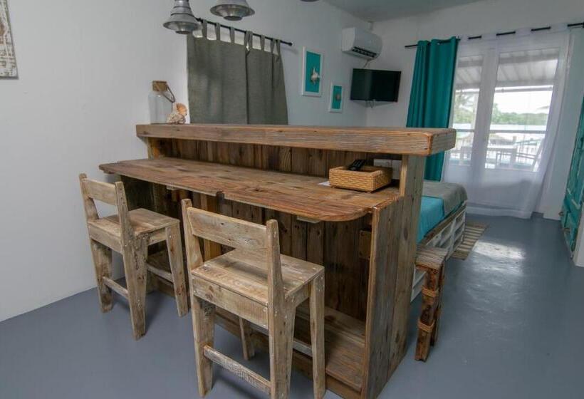 Deniz Mandarazıl Standart Stüdyo, La Koquillishe