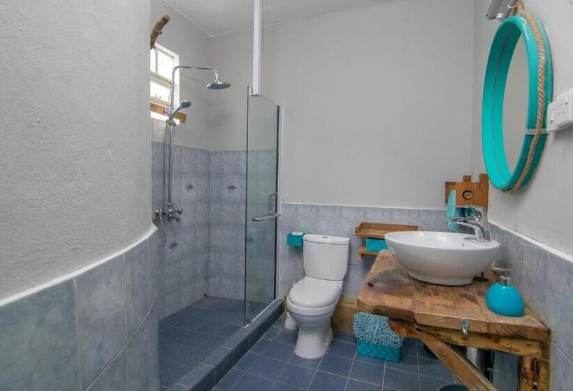 Deniz Mandarazıl Standart Stüdyo, La Koquillishe