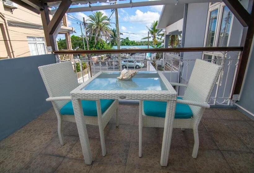 Deniz Mandarazıl Standart Stüdyo, La Koquillishe