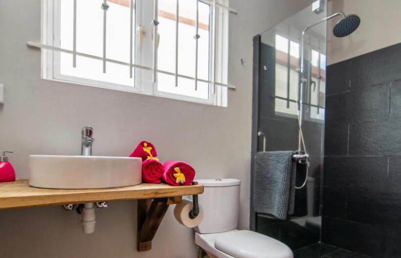 Superior Stüdyo, La Koquillishe