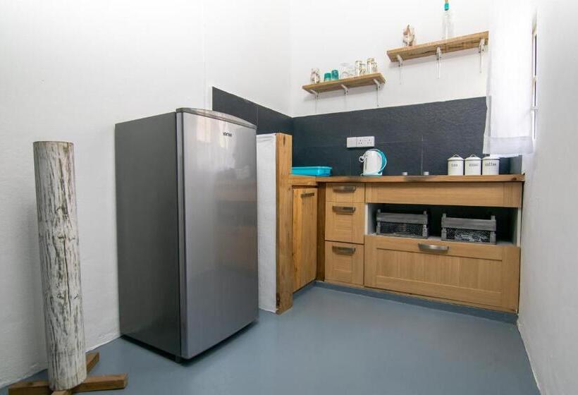 Superior Stüdyo, La Koquillishe