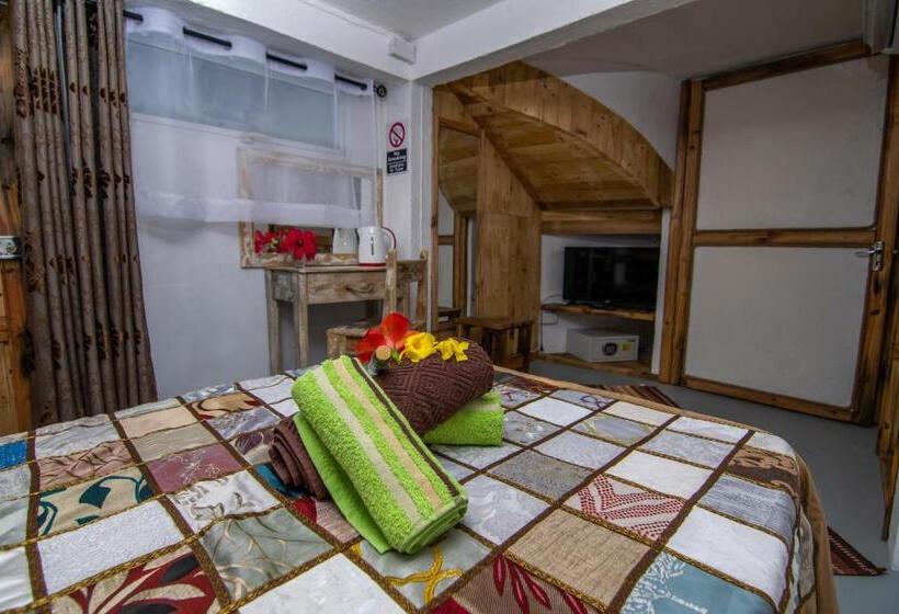 Superior Stüdyo, La Koquillishe