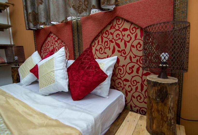 Superior Stüdyo, La Koquillishe