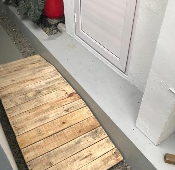 Süit, La Koquillishe