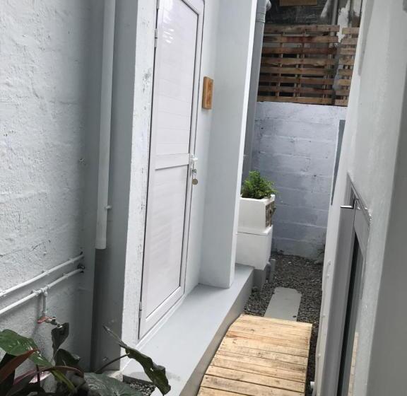 Süit, La Koquillishe